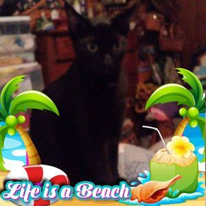 Meet your Posher, Deb